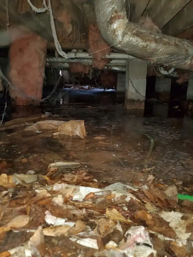 Crawl space flood assessment for Commercial Water Damage Restoration in Atmore